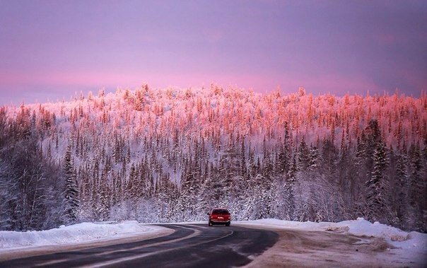 Картинки всякие