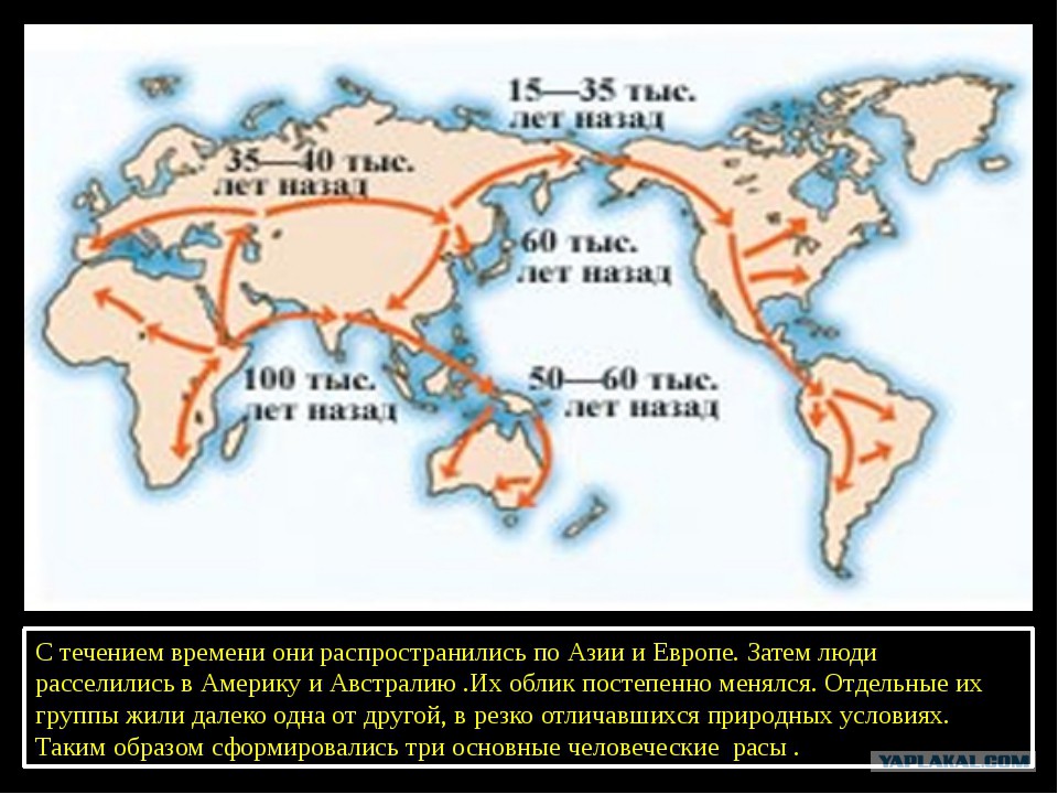 Карта расселения людей. Первобытные люди классы. Как люди заселяли землю рисунок. Жизнь первобытных людей карта. Расселения людей по странам 100 тысяч лет назад.