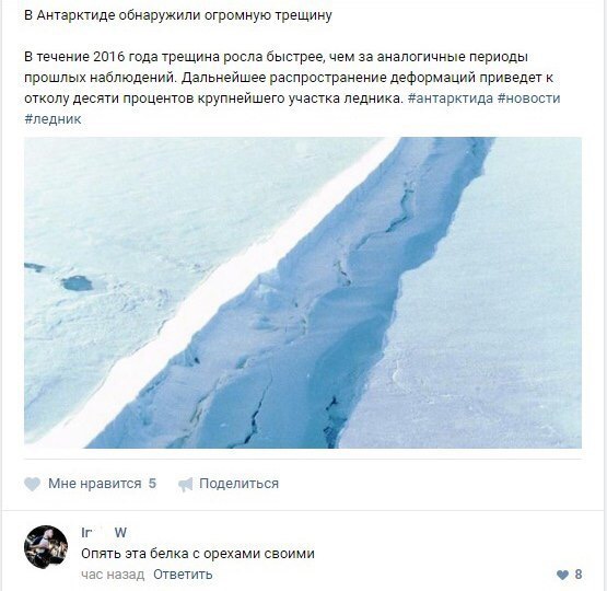 Весёлые картинки из интернета