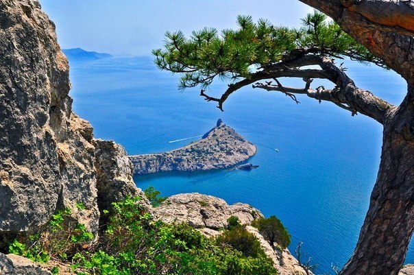 Моменты, запечатлённые на фото и просто позитив 5