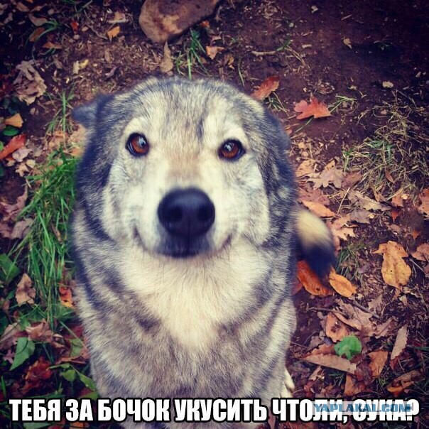 Кто боялся в детстве?