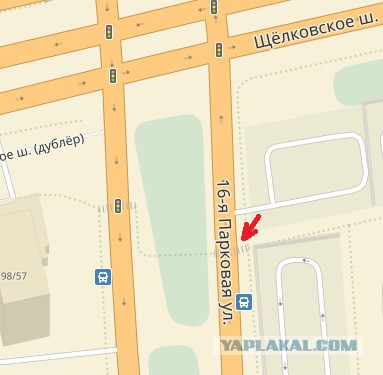 Небольшой конфликт пешехода и водителя
