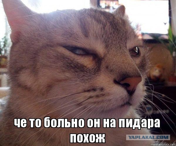 Гламурно-слащавый лейтенантик из Питера уволился из полиции