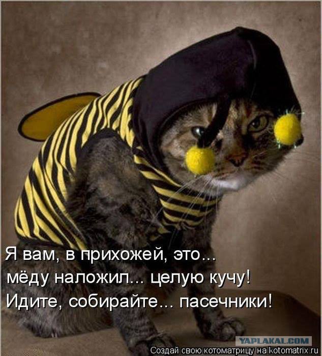 Эпитафия по Плаза