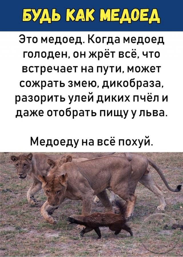 Китай разгромил американскую разведку