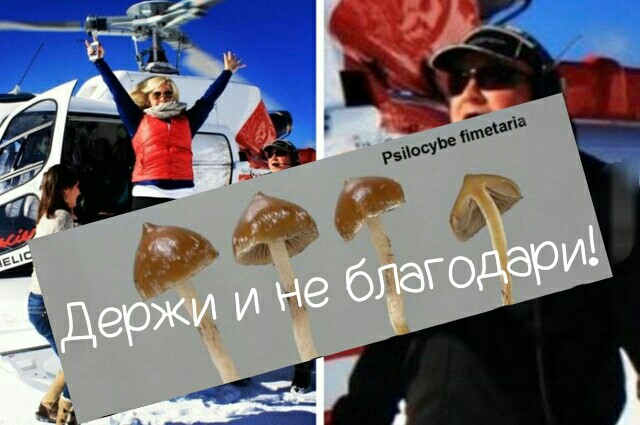 Чернушки вот вам принёс
