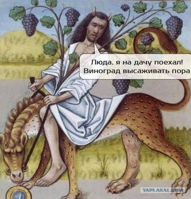 Поедем на дачу?