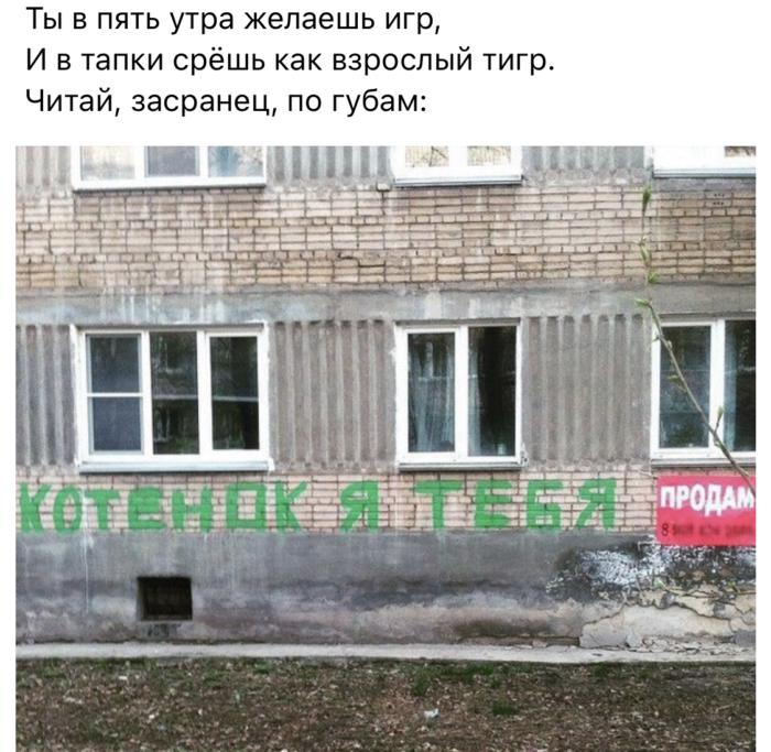 13672331.jpg