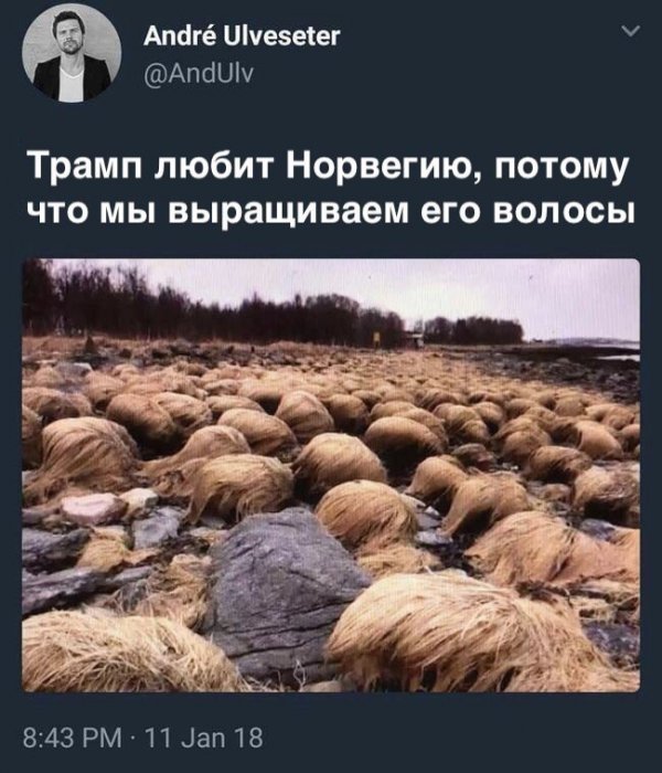 Бредзона 25.01.20