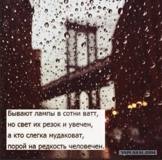 Бредзона 16.04.2020