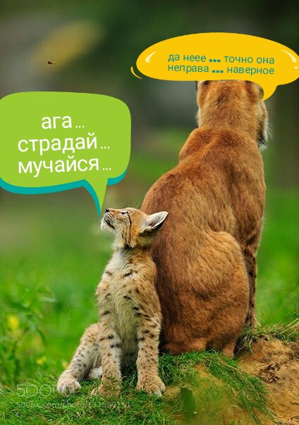 Прикольные и просто красивые картинки 04.05.2020