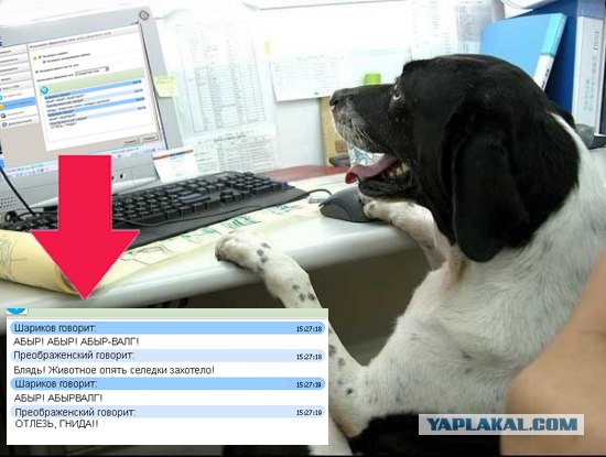 Пес за работой
