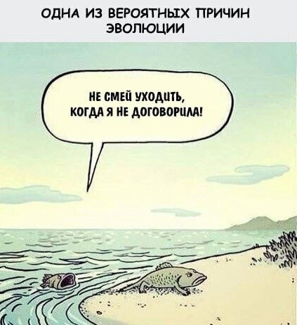 Юмор в картинках 10.11.20