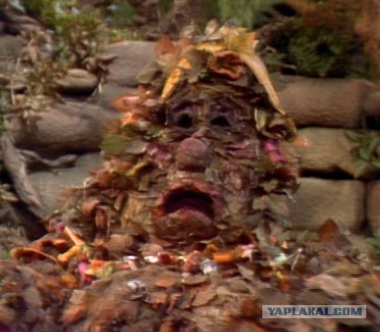 Новодворская жжот напалмом