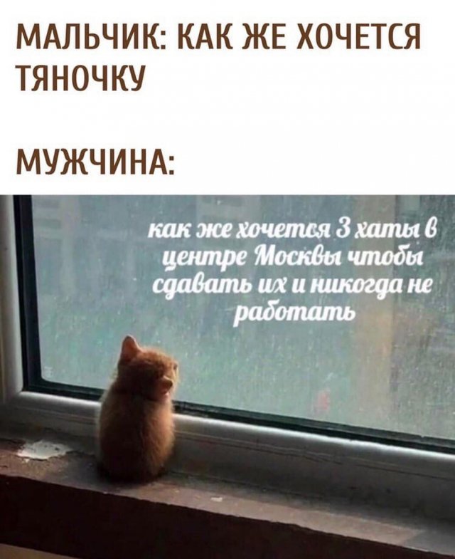 Картинки и мемы для настроения 23.09.2021