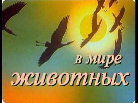 Первого апреля в московском ЖК "Сердце столицы" на Шелепихинской набережной произошла массовая драка между строителями