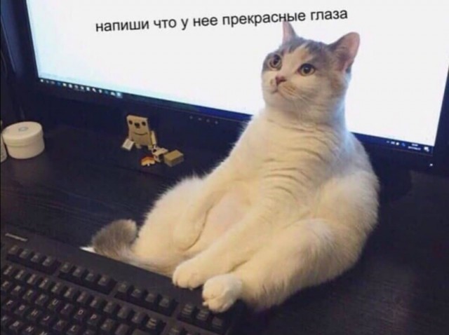 Забавные комментарии из социальных сетей (02.05.22)