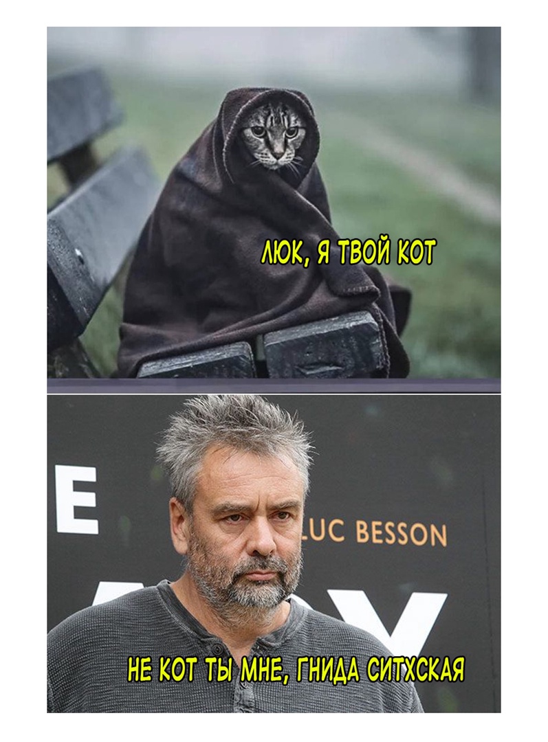 16863331.jpg