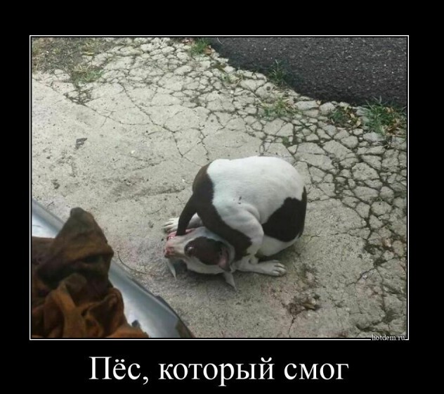 Картинки с надписями 31.07.22
