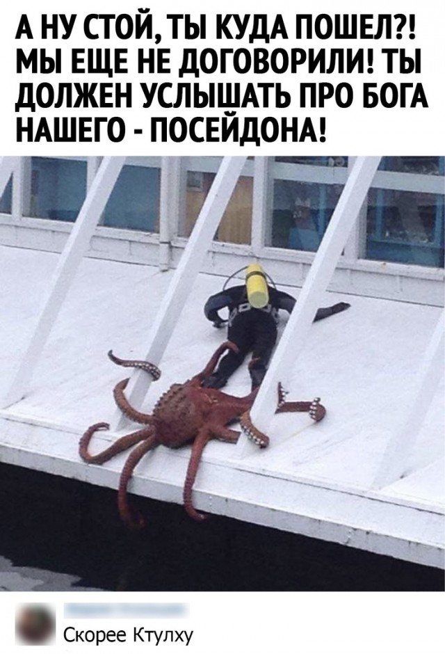 Немного картинок для настроения - 131