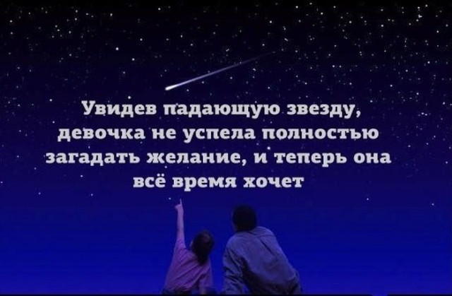 Весёлый полтишок 21.12.2022