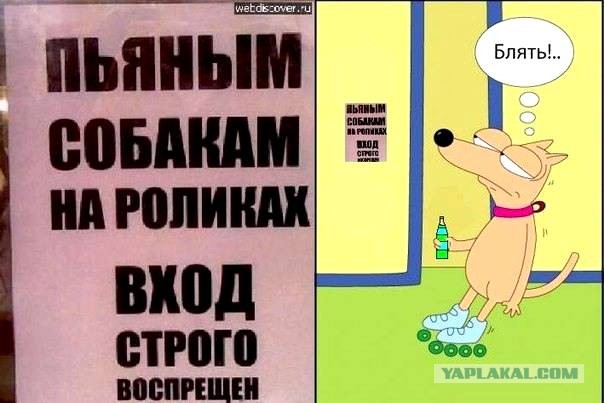 Вход с собаками запрещен