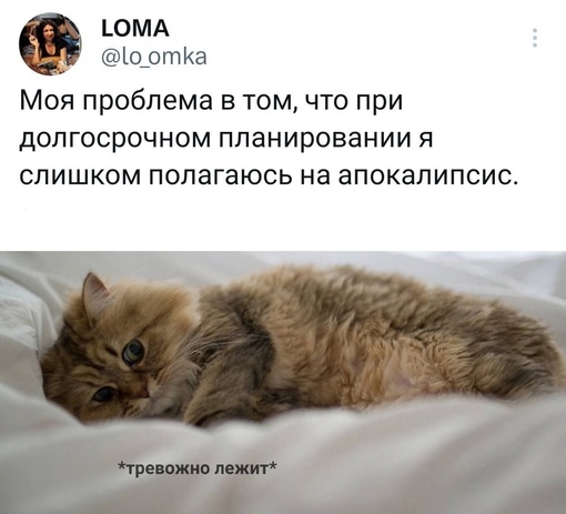 Картинки и мемы, всяко разно - 175