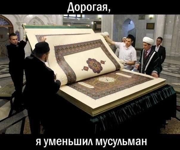 Нуштош 15.12.2023