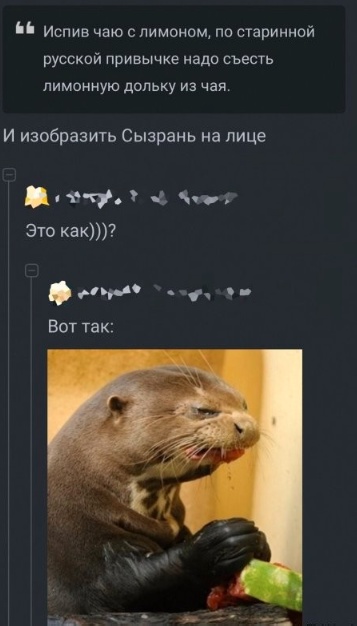 Картинок подвезли