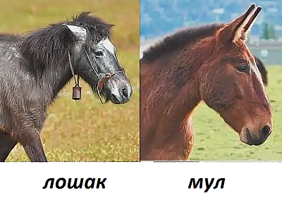 Запарковался