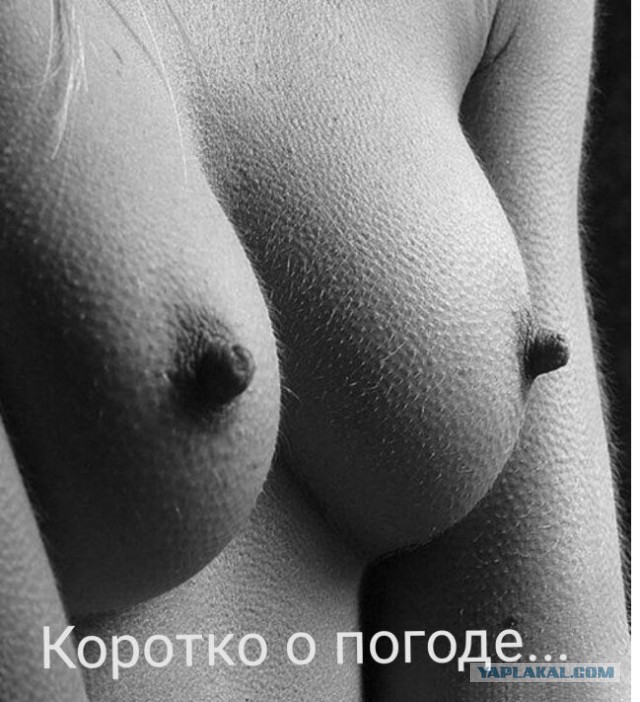 Долой бюстгальтеры! 04.05.25