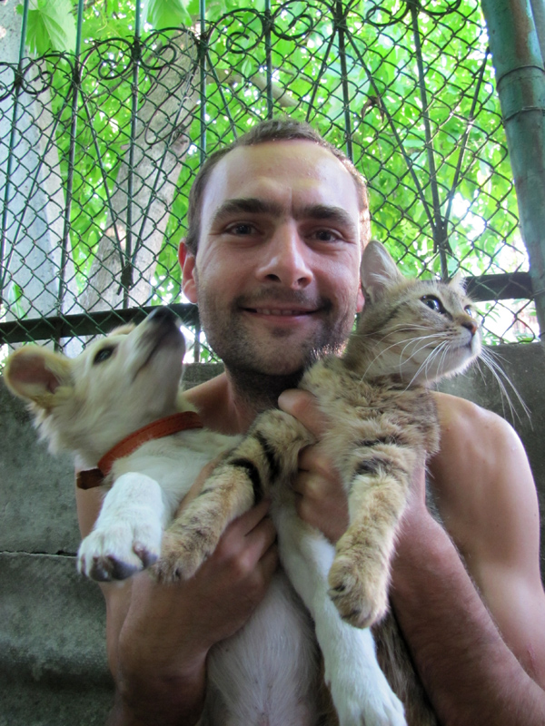 Будка своими руками.