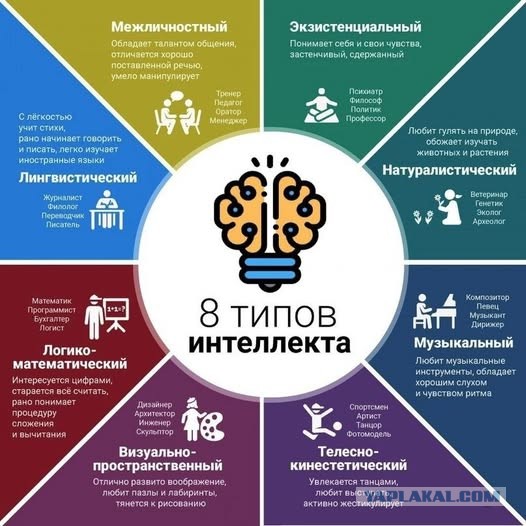 Веселые картинки в маленькую пятницу (12.11)
