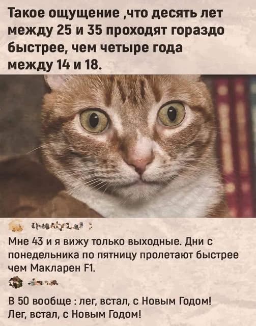 20706331.jpg