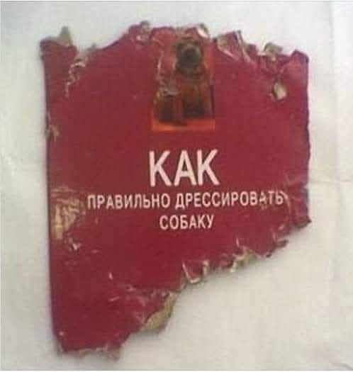Картинки для деградации 247 (разной степени свежести)