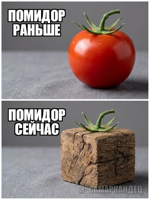 Вместо мозга — аппендикс