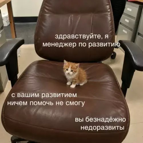 тРРРидцать тРРРи от 22 октября