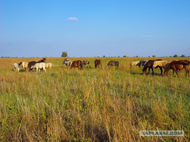 Рыбалка в Астрахани