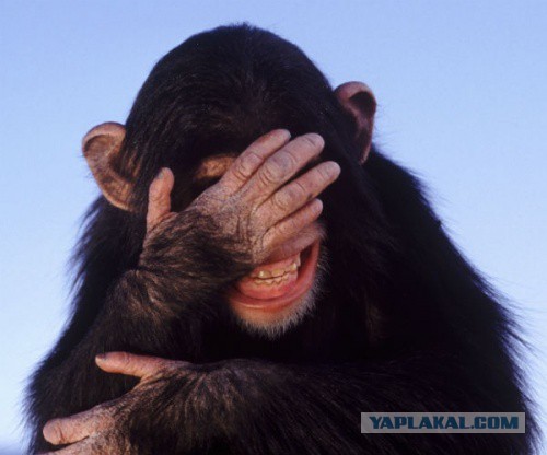 Поймал, буду жарить.