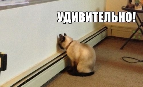 Смешные картинки