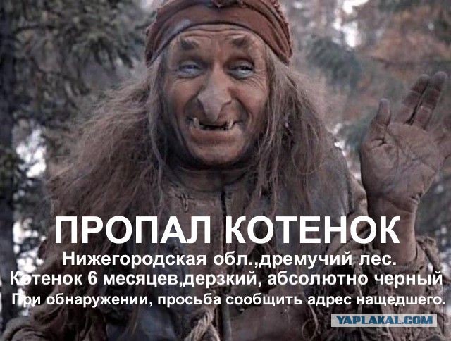 Отдохнули на озере