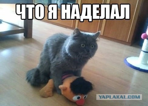 Подборка смешных картинок