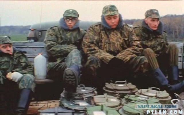 Свинья сбежала с грузовика по пути на бойню, видео с регика