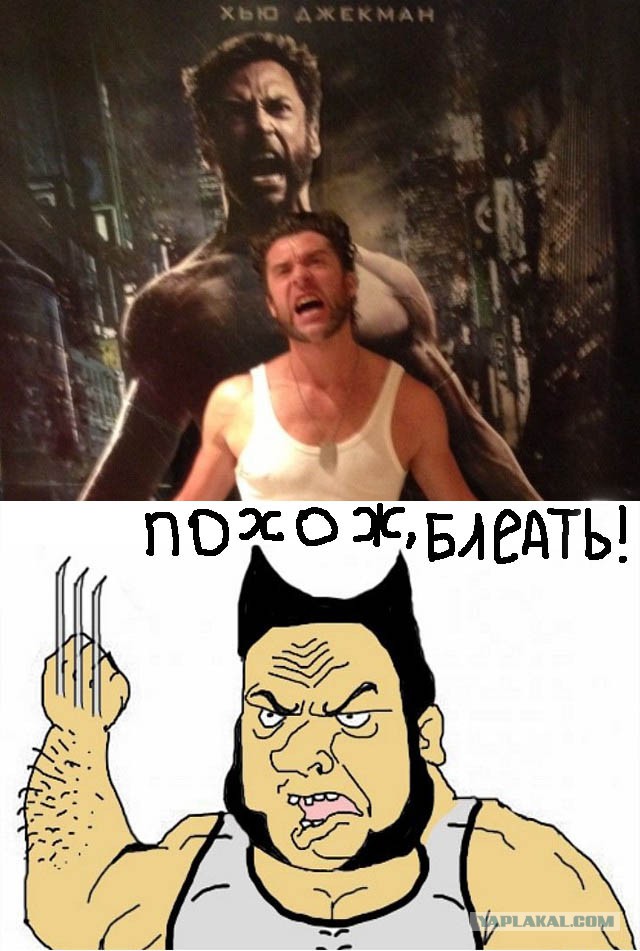 Двойники знаменитостей