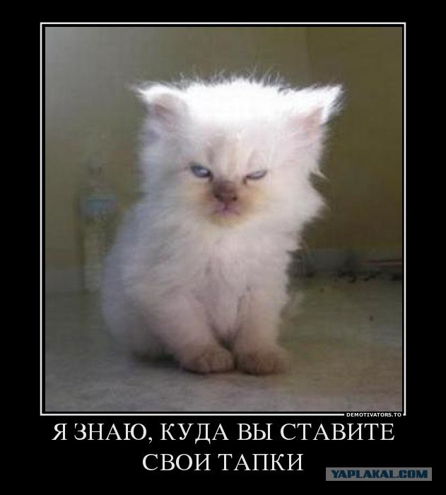 Картинки с инета.