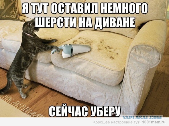 9 картинок из параллельной вселенной