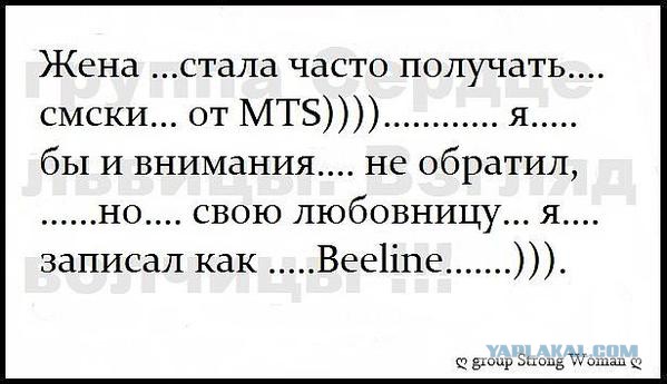 Веселости попавшиеся на глаза сегодня