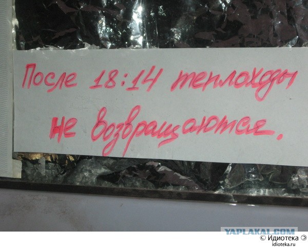 Вестник из соцсетей #8