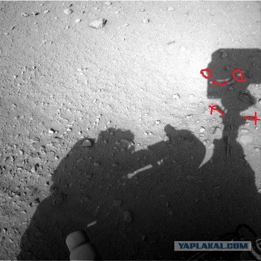 На Марсе нашли рептилоида и сбитый дрон