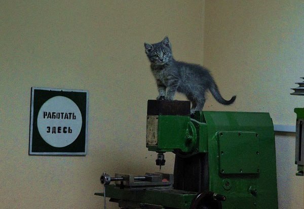 Новые трудовыебудни